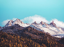 “莎头”组合将出战WTT中国大满贯赛